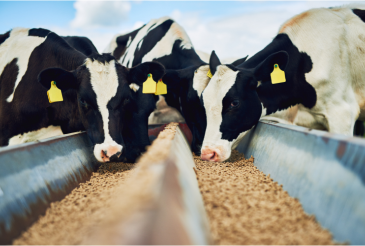 未命名_横版海报_2021-09-16+11_49_58